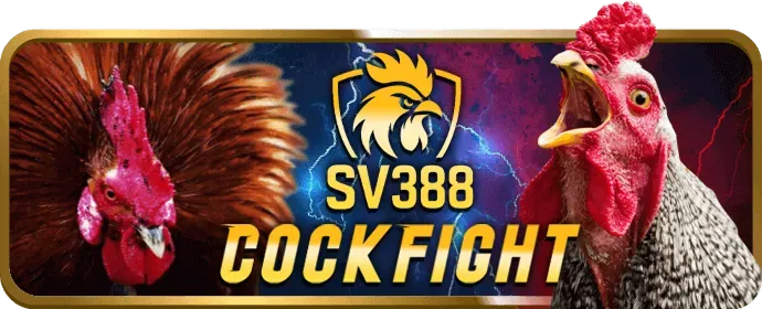 Cá cược Esports g2802